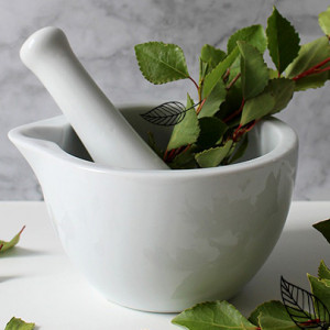 Bandeau plantes médicinales.jpg