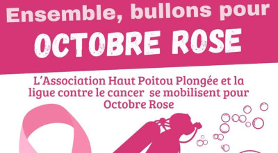 bandeau agenda plongée.jpg