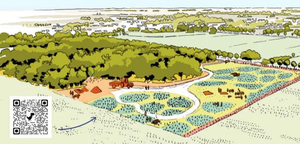 Créateurs de forêt
