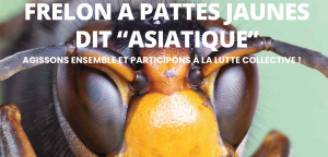 R&eacute;union publique